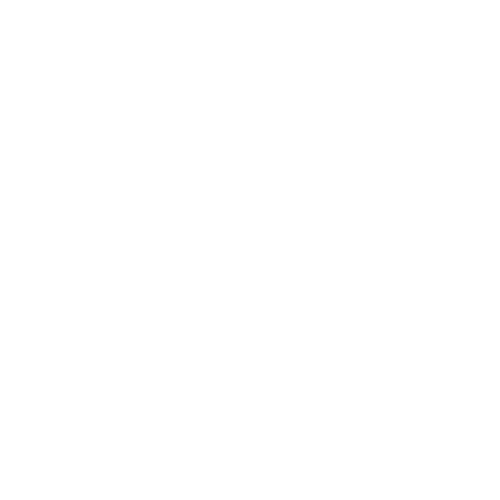 logo N-F