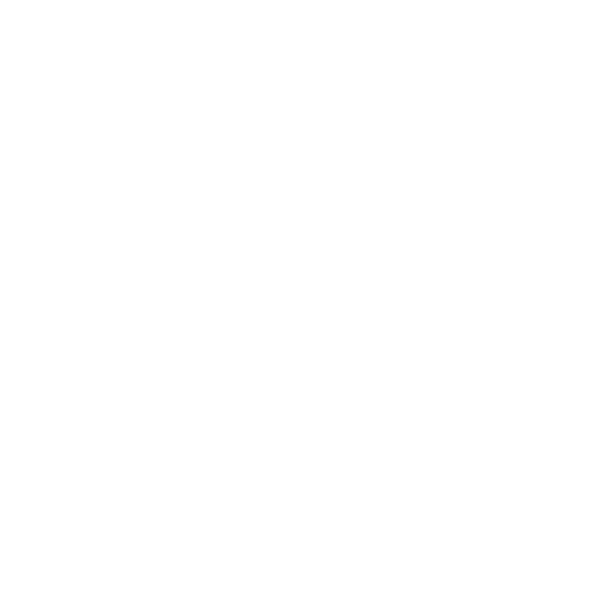 logo FF